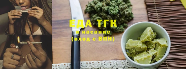 хмурый Ельня