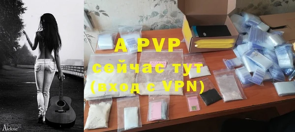 хмурый Ельня