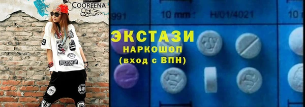 хмурый Ельня