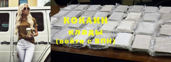 хмурый Ельня