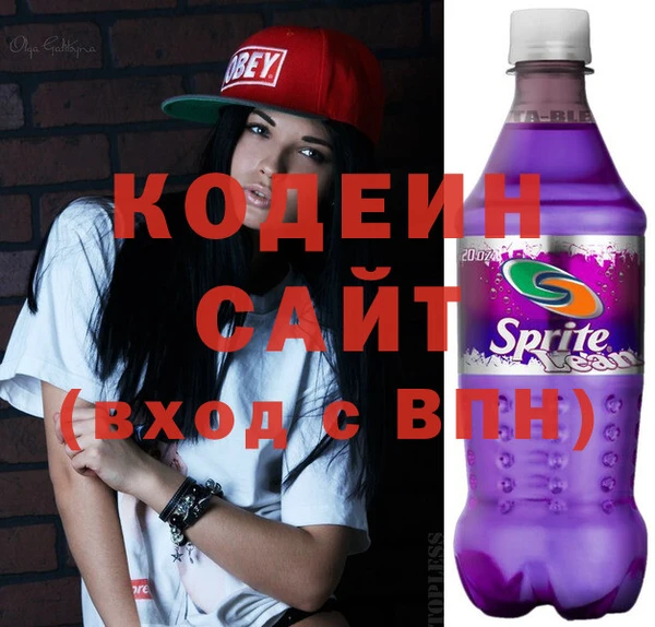 хмурый Ельня