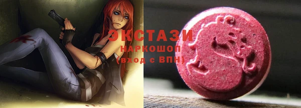гашик Весьегонск