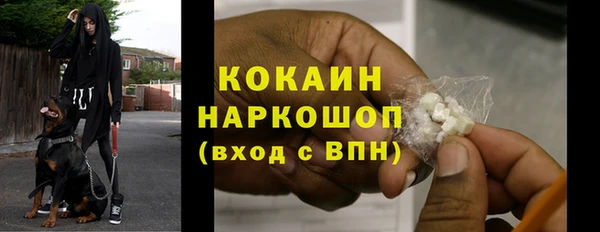 хмурый Ельня
