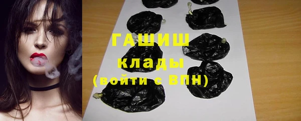 хмурый Ельня