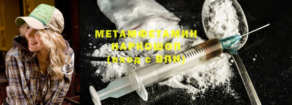 хмурый Ельня