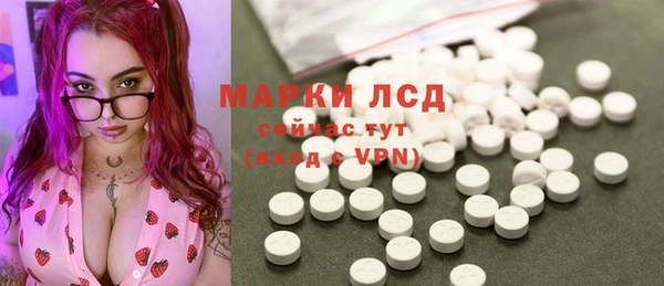 хмурый Ельня