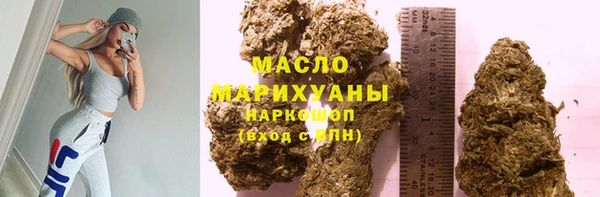 хмурый Ельня